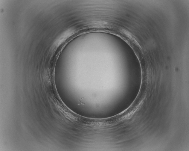 X0000067840970200604131222