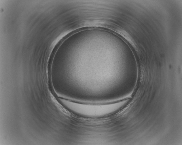 X0000067840980200604131222
