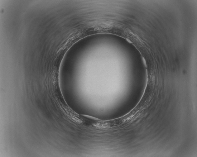 X0000067841012200604131220