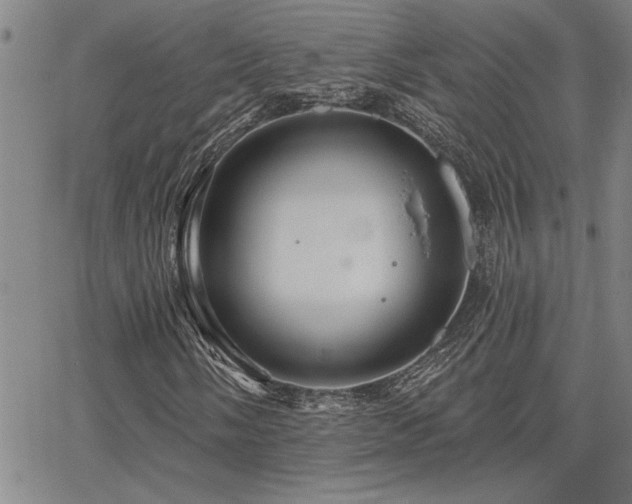 X0000067841058200604131220