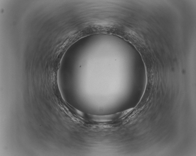 X0000067841061200604131220