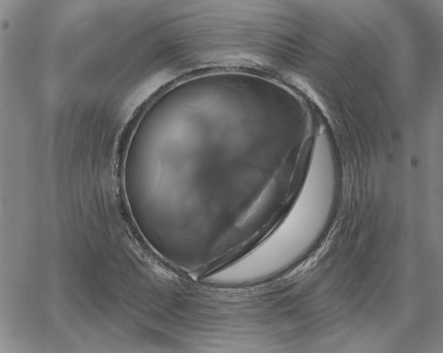 X0000067841071200604131220