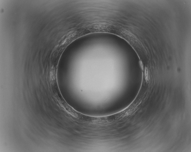 X0000067841107200604131219