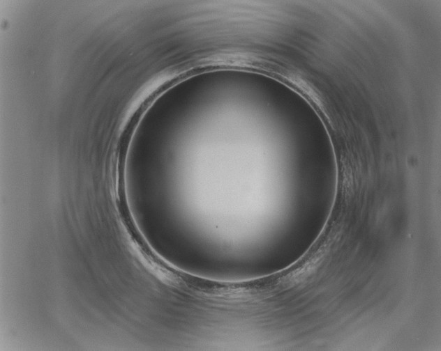 X0000067841131200604131219