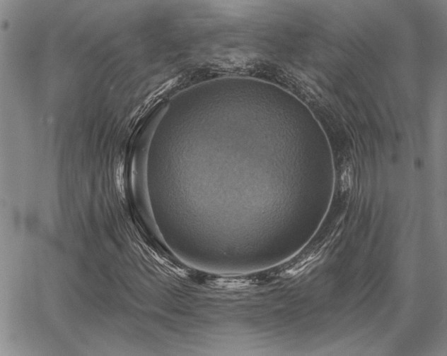 X0000067841156200604131219
