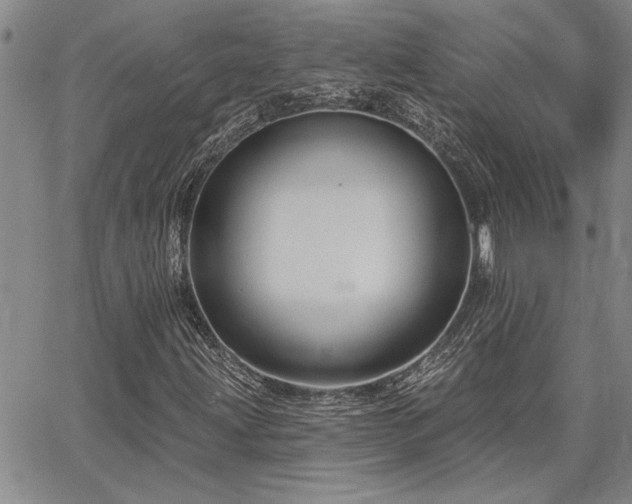 X0000067841203200604131217