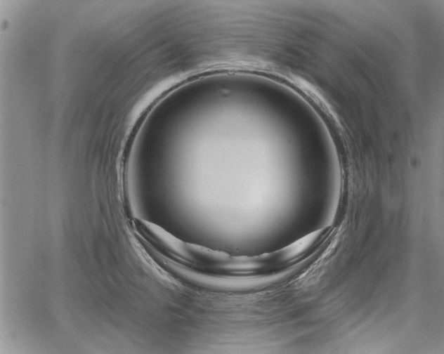 X0000067841238200604131218