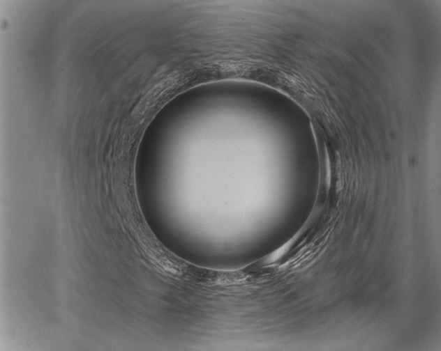 X0000067841249200604131217