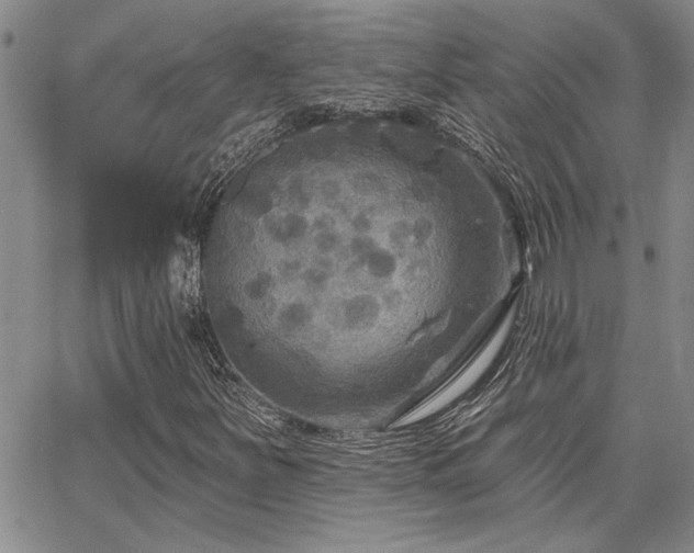 X0000067841251200604131217