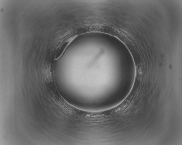X0000067841252200604131217