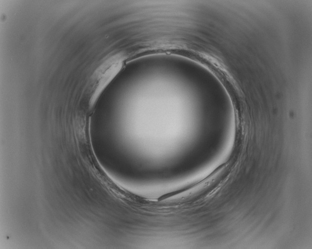X0000067841273200604131217