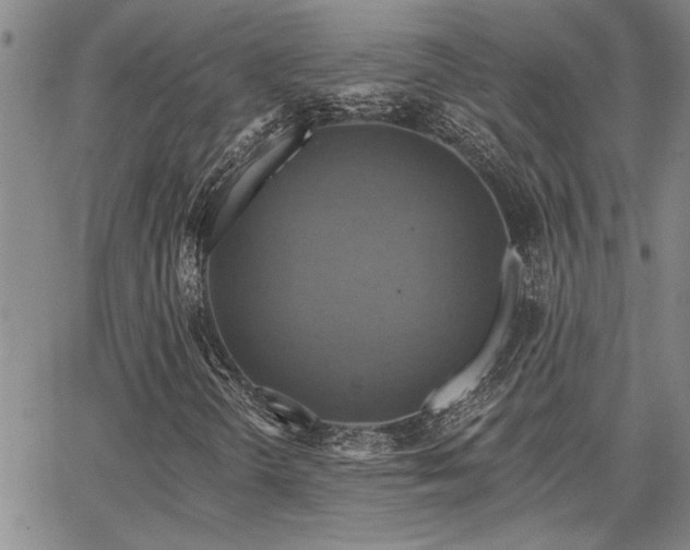 X0000067841298200604131216