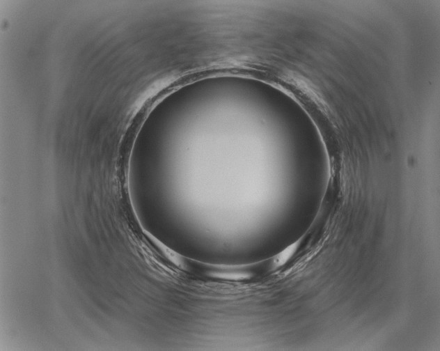 X0000067841308200604131216