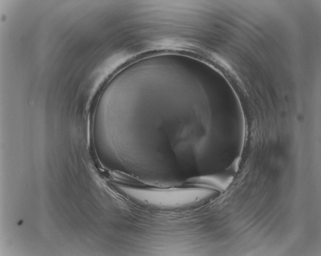 X0000067841323200604131216