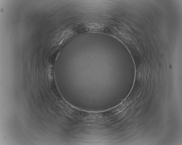 X0000067841346200604131216
