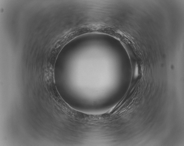 X0000067841349200604131216