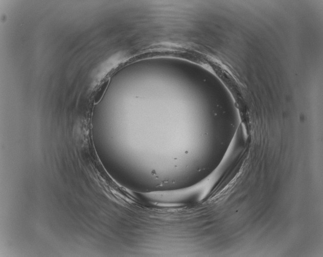 X0000067841355200604131215