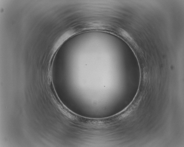 X0000067841370200604131215