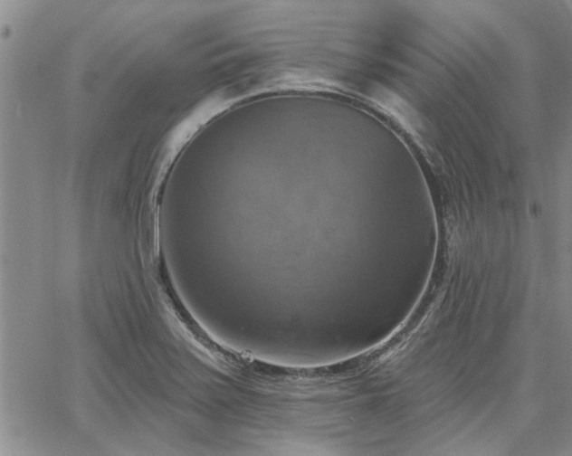 X0000067841371200604131215