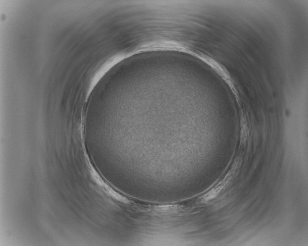 X0000067841390200604131215