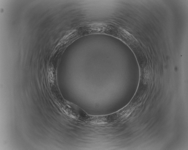 X0000067841394200604131214
