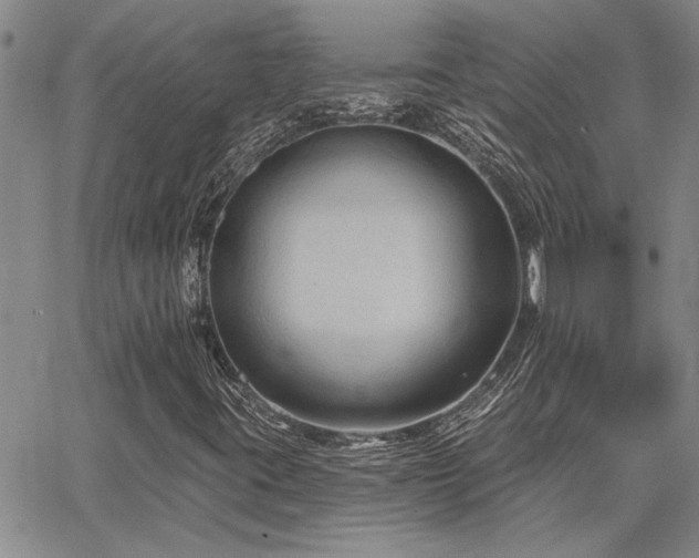X0000067841395200604131214