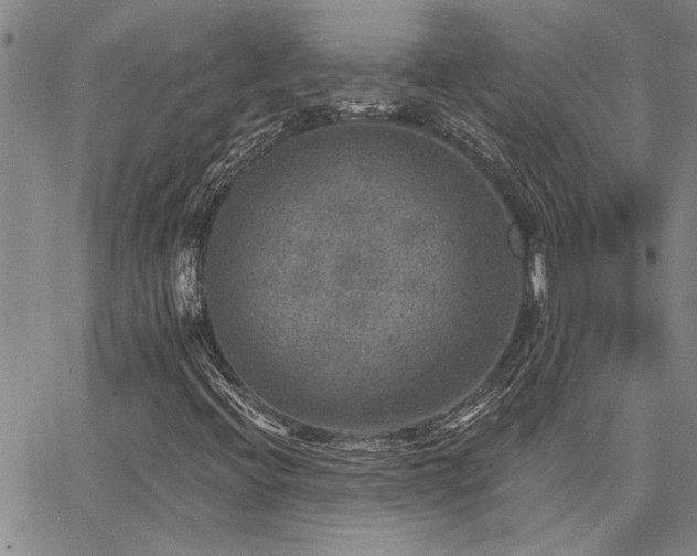 X0000067841396200604131214