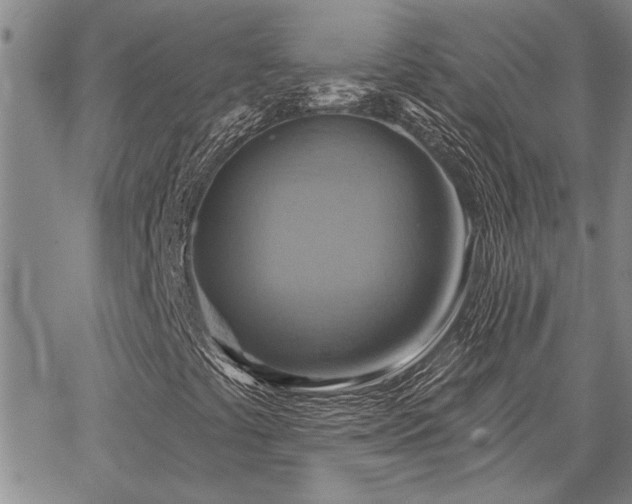 X0000067841441200604131214