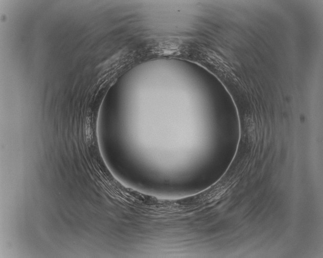 X0000067841442200604131214