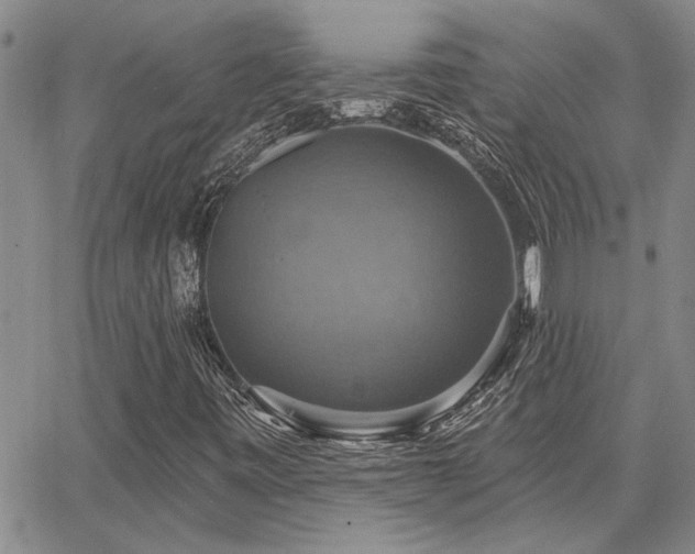 X0000067841443200604131214