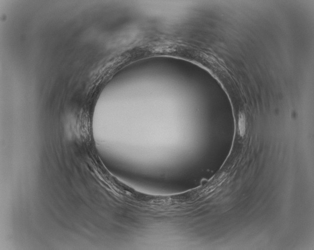 X0000067841444200604131214