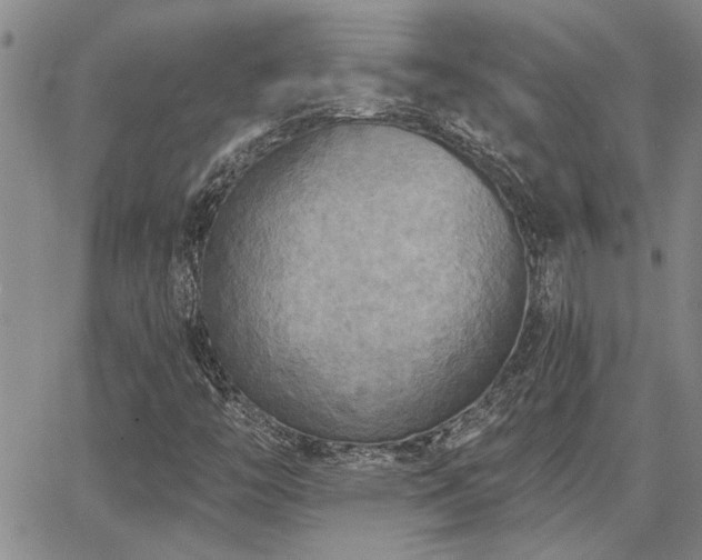 X0000067841446200604131214