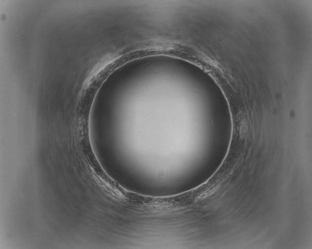X0000067841448200604131214