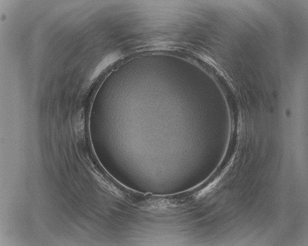 X0000067841450200604131214