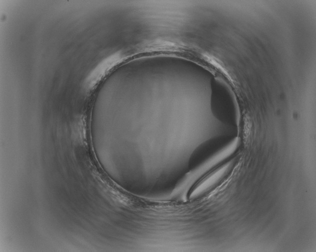 X0000067841455200604131214