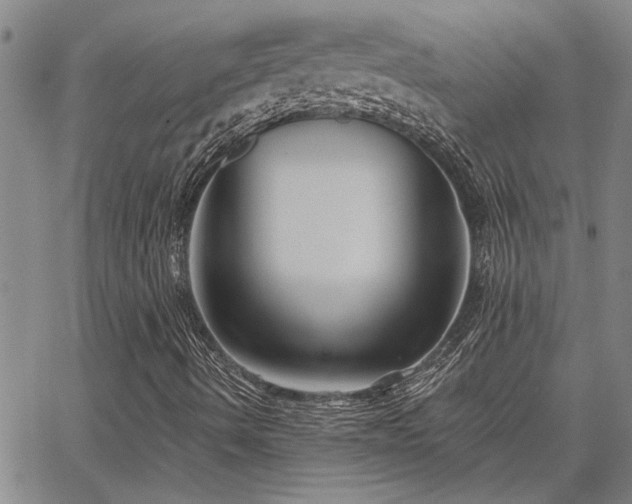 X0000067841490200604131213
