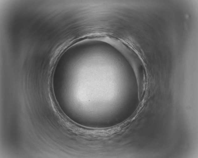 X0000067840001200604171205