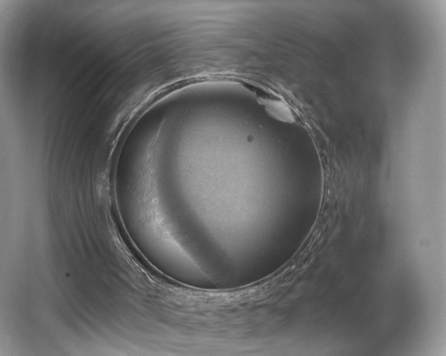 X0000067840002200604171205