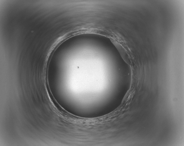 X0000067840003200604171205