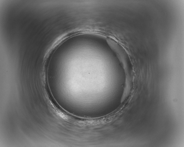 X0000067840005200604171205