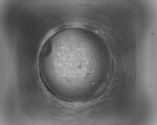 X0000067840006200604171205