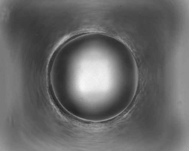 X0000067840008200604171205