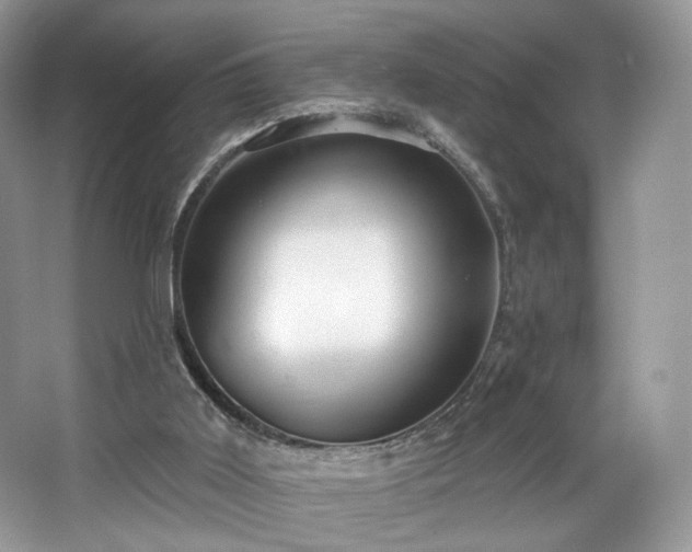 X0000067840011200604171204