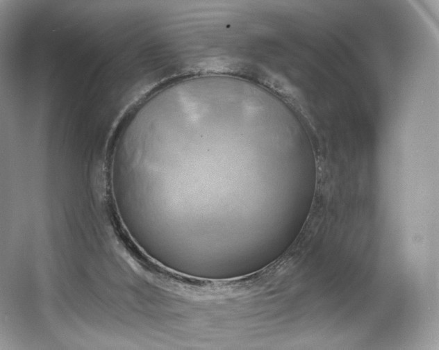 X0000067840012200604171204