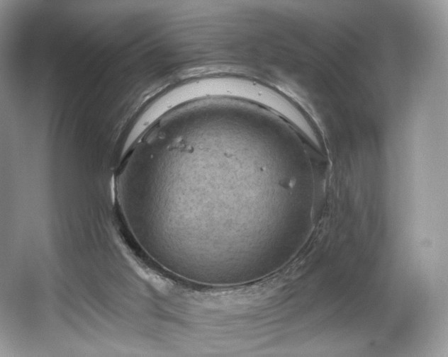 X0000067840013200604171204