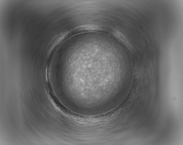 X0000067840014200604171204