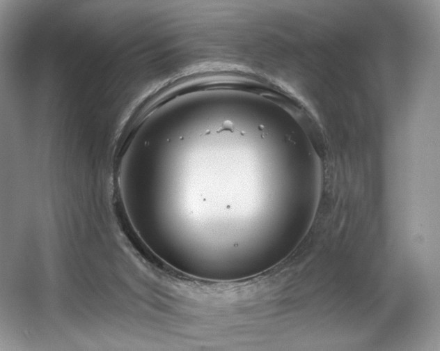 X0000067840015200604171204