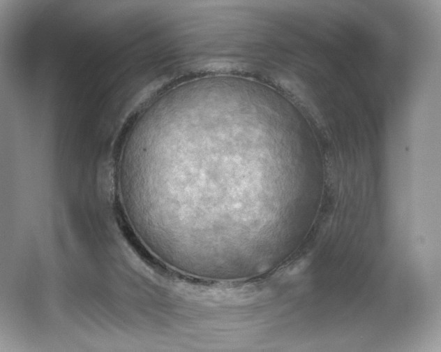 X0000067840016200604171204