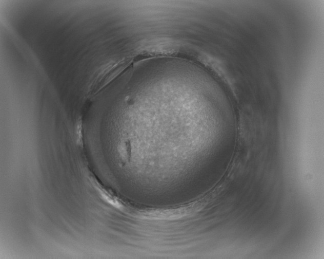 X0000067840017200604171204