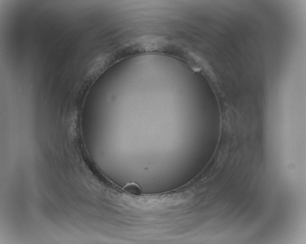 X0000067840018200604171204